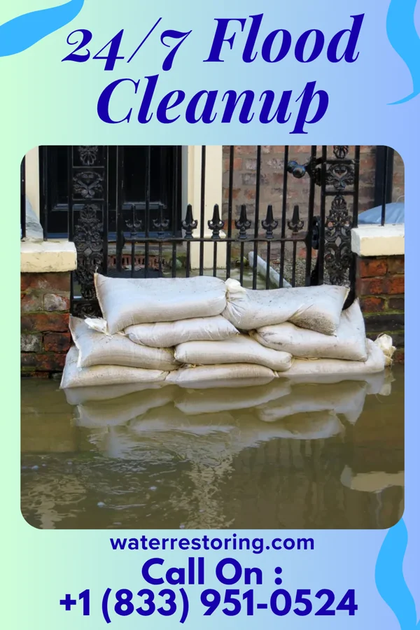 24/7 Flood Cleanup in Interlaken, NJ