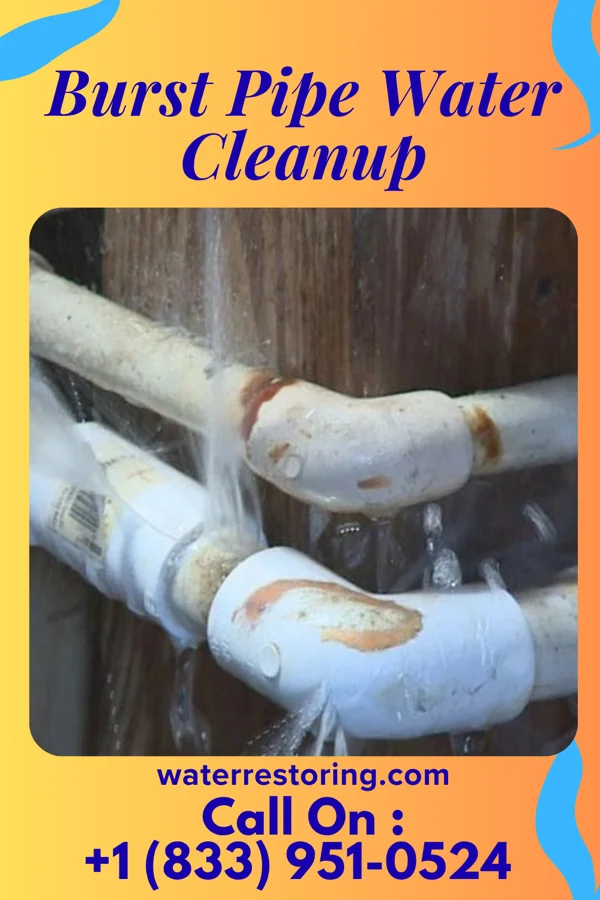 Burst Pipe Water Cleanup in Interlaken, NJ