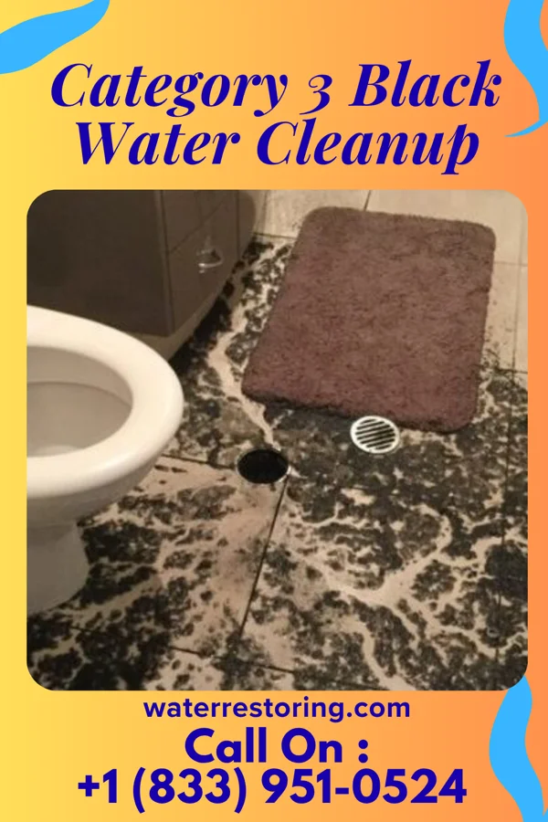 Category 3 Black Water Cleanup in Interlaken, NJ