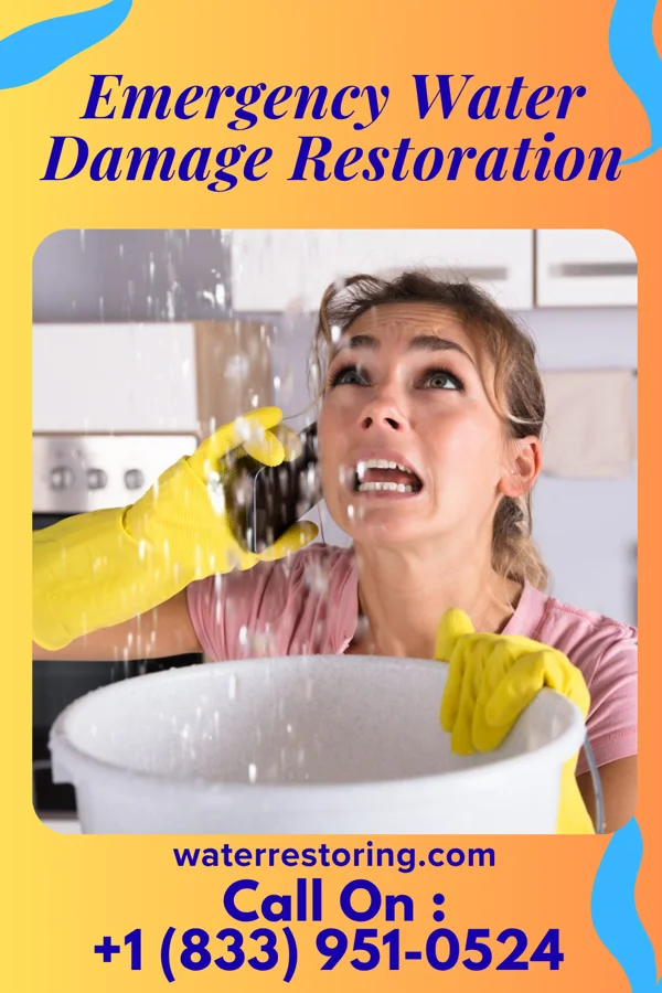 Emergency Water Damage Restoration in Interlaken, NJ