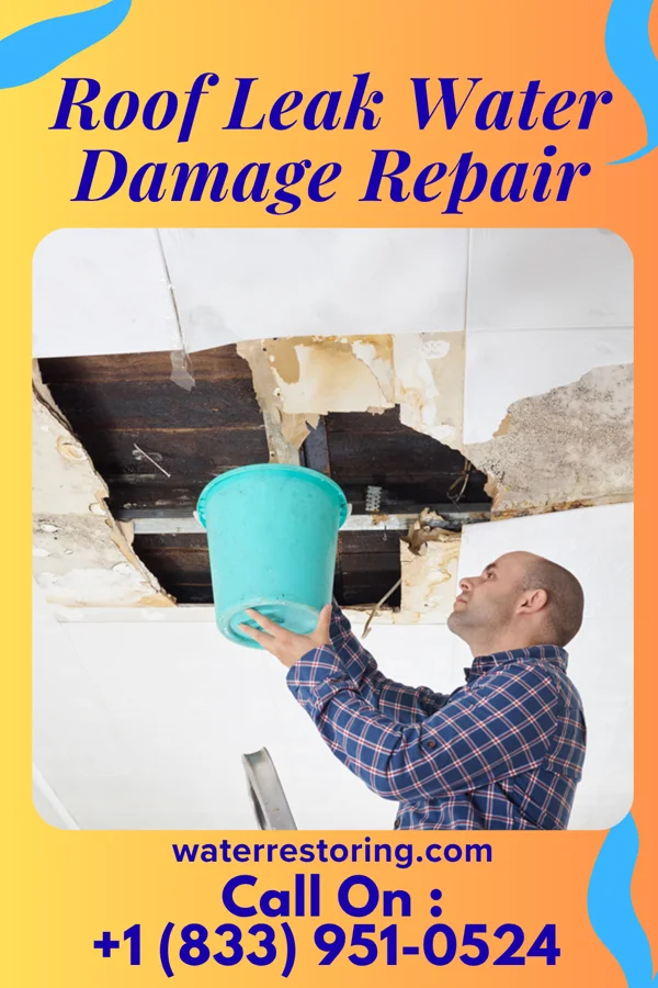 Roof Leak Water Damage Repair in Interlaken, NJ