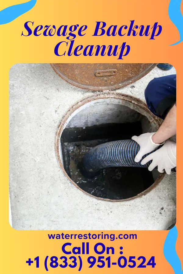 Sewage Backup Cleanup in Interlaken, NJ