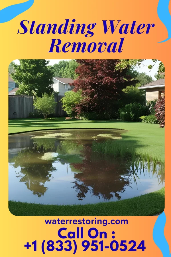 Standing Water Removal in Interlaken, NJ